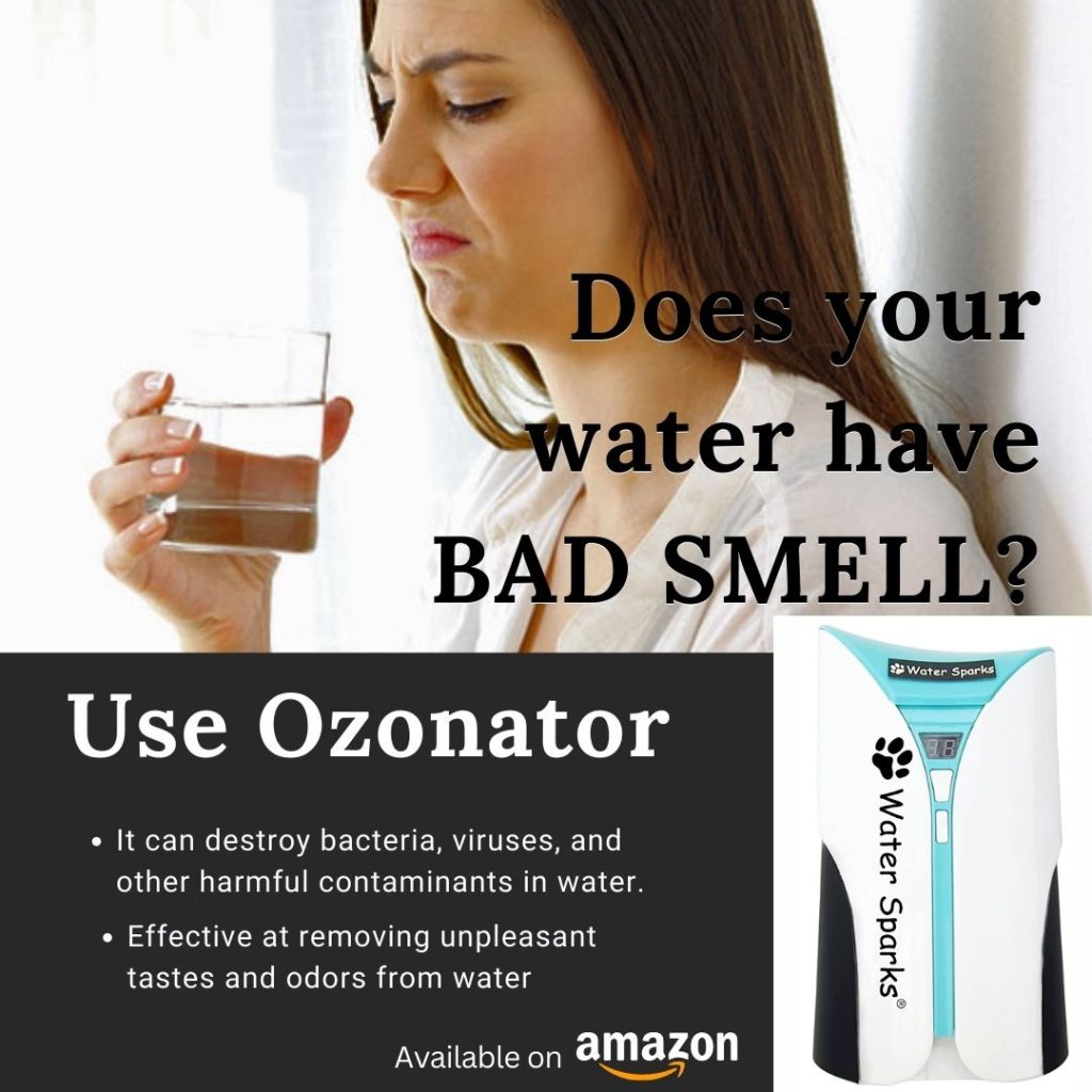 bad smell or bacteria in water use ozonator system