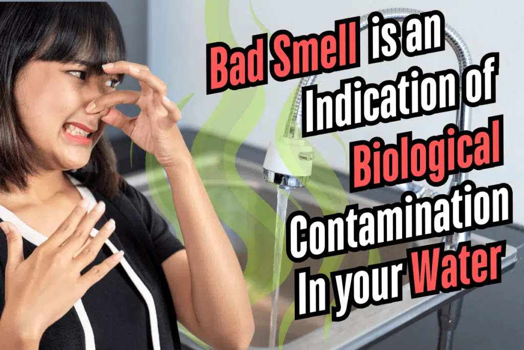 girl smelling bad smell in water