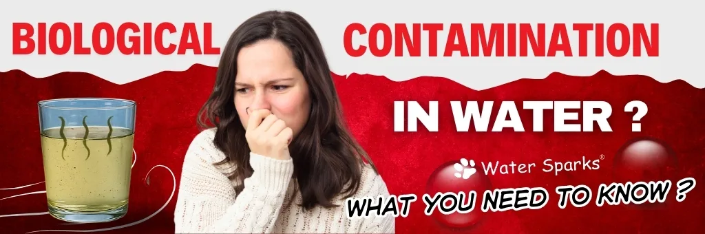 Biological Contamination in Water – What You Need to Know