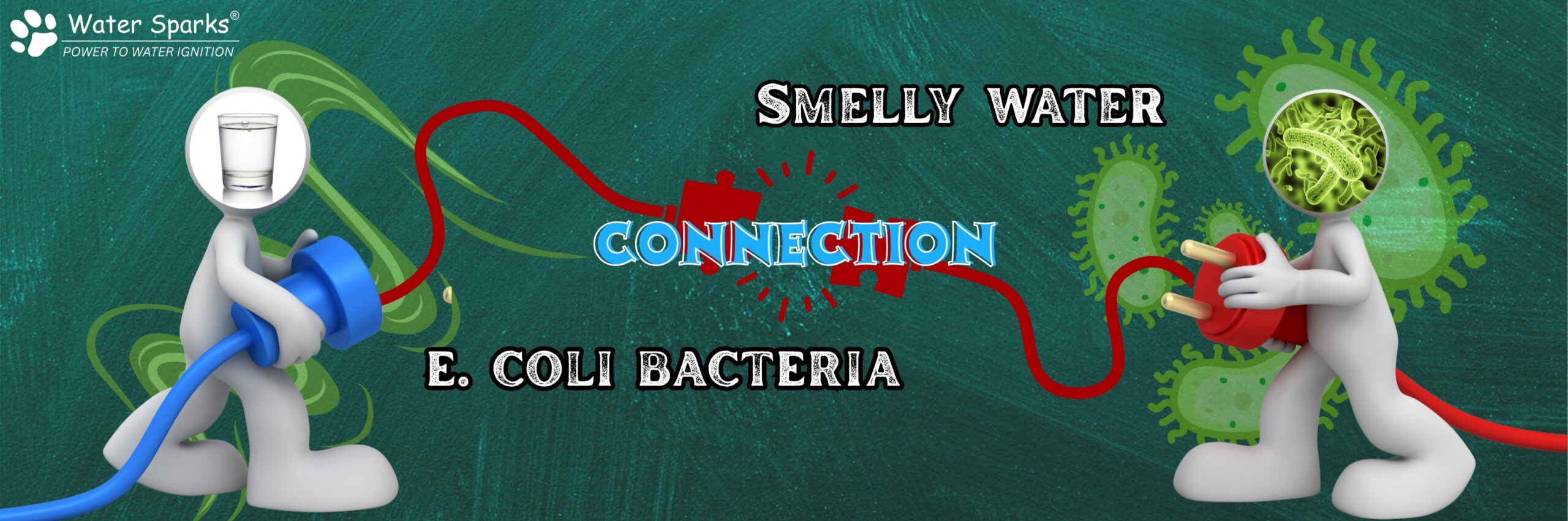 Connection Between Smelly Water and E. Coli Bacteria