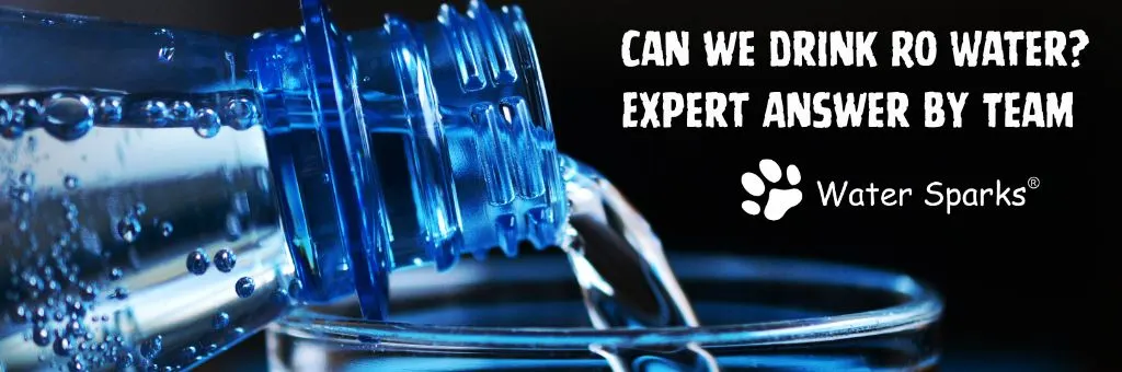 Can we drink RO Water?