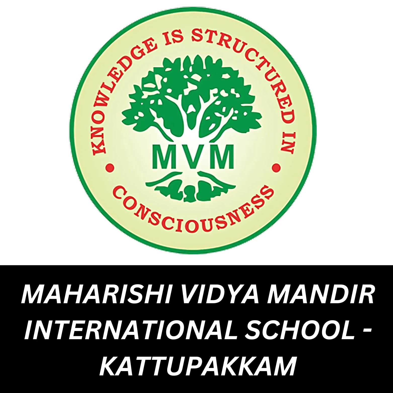 Maharishi Vidya Mandir International School Kattupakkam logo